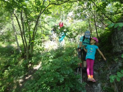 Kliknite za ogled večje slike