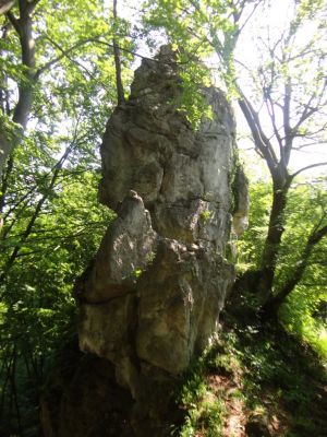Kliknite za ogled večje slike