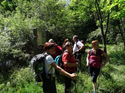 Kliknite za ogled večje slike