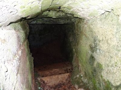 Kliknite za ogled večje slike