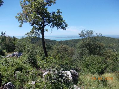 Kliknite za ogled večje slike