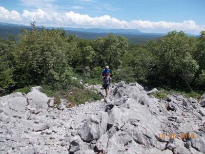 Kliknite za ogled večje slike