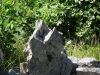 DSC02619.JPG