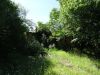 DSC02621.JPG