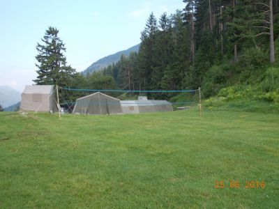 Kliknite za ogled večje slike