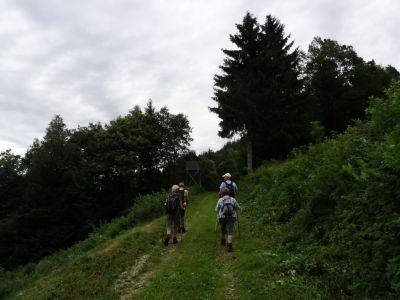 Kliknite za ogled večje slike