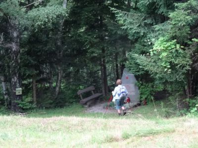 Kliknite za ogled večje slike