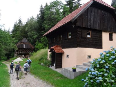 Kliknite za ogled večje slike