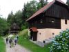 DSC02732.JPG