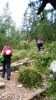 20160826_074238.jpg