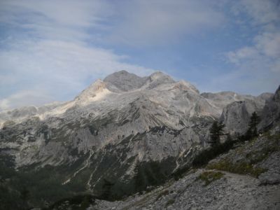 Kliknite za ogled večje slike