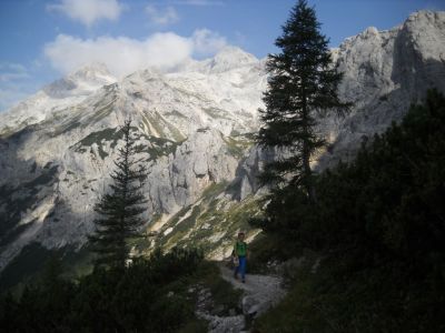 Kliknite za ogled večje slike