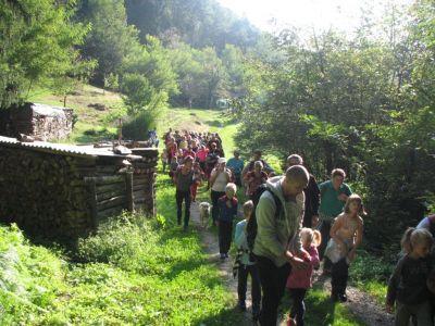 Kliknite za ogled večje slike