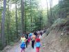 IMG_7926.JPG