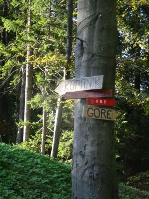 Kliknite za ogled večje slike