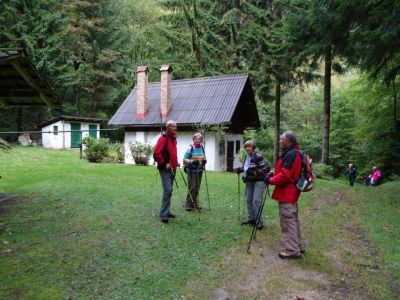 Kliknite za ogled večje slike