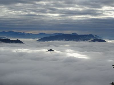 Kliknite za ogled večje slike