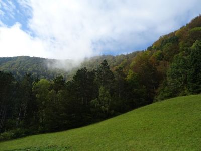 Kliknite za ogled večje slike