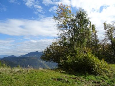 Kliknite za ogled večje slike