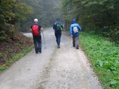 Kliknite za ogled večje slike