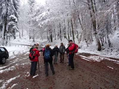 Kliknite za ogled večje slike