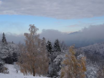 Kliknite za ogled večje slike