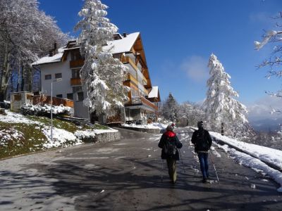 Kliknite za ogled večje slike