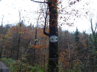 Kliknite za ogled večje slike