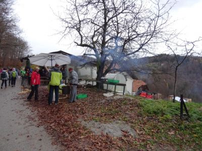 Kliknite za ogled večje slike