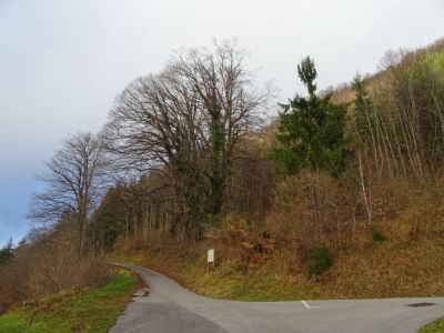 Kliknite za ogled večje slike