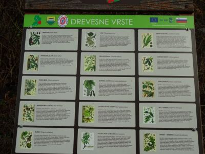 Kliknite za ogled večje slike