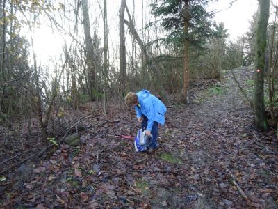 Kliknite za ogled večje slike