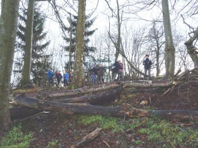 Kliknite za ogled večje slike
