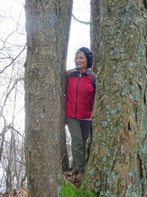 Kliknite za ogled večje slike