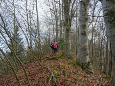 Kliknite za ogled večje slike