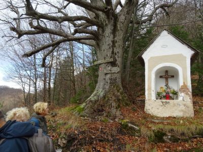 Kliknite za ogled večje slike