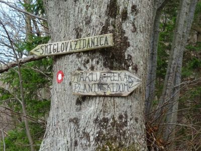 Kliknite za ogled večje slike