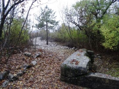 Kliknite za ogled večje slike