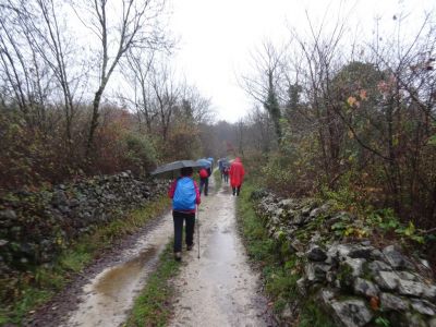 Kliknite za ogled večje slike