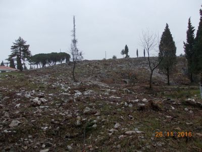 Kliknite za ogled večje slike