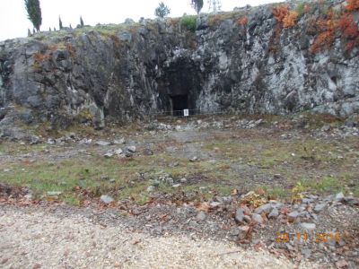 Kliknite za ogled večje slike