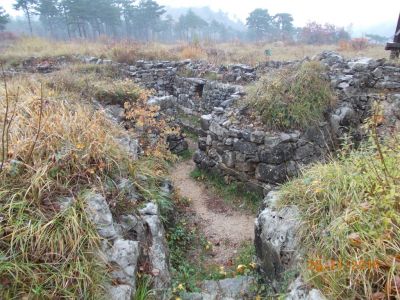 Kliknite za ogled večje slike
