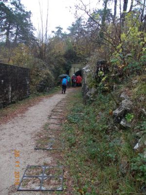 Kliknite za ogled večje slike