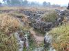 DSCN4916.JPG
