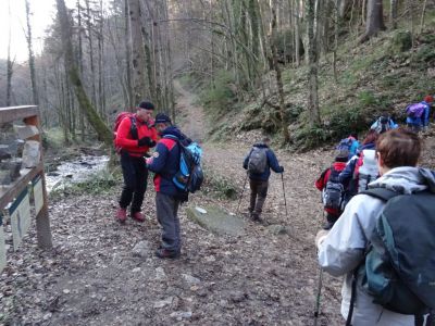 Kliknite za ogled večje slike