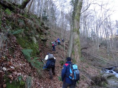 Kliknite za ogled večje slike