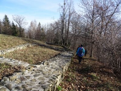 Kliknite za ogled večje slike
