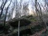 DSC04380.JPG