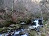 DSC04403.JPG
