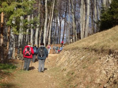 Kliknite za ogled večje slike